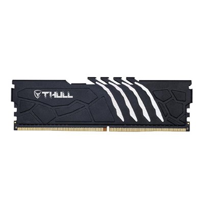 16 Gb Ddr5 5600Mhz Thull Vortex Cl46 1.1V Hs (Thl-Pcvtx44800d5-16G-B)