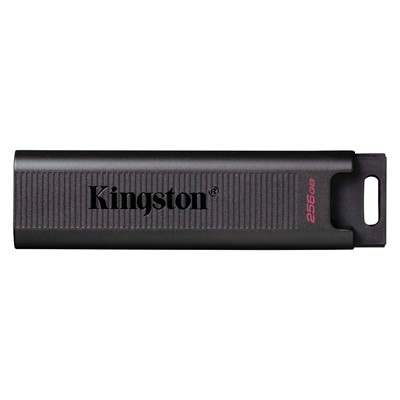 256 Gb Usb3.2 Type-C Kıngston Data Traveler Max (Dtmax/256Gb)