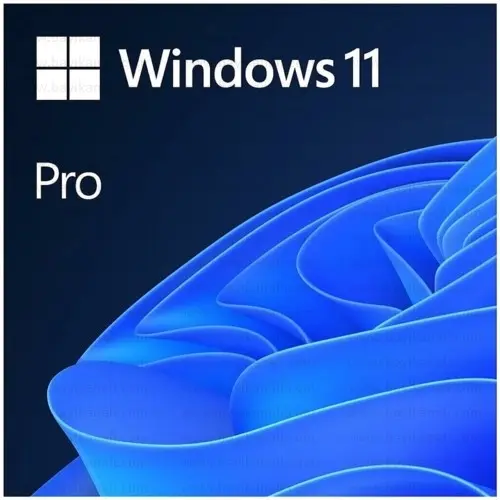 Ms Wındows 11 Pro 64Bıt Eng Oem (Fqc-10528)