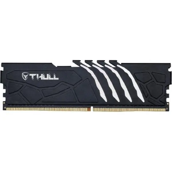 16 Gb Ddr4 3200Mhz Thull Vortex Cl22 1.2V Black Hs (Thl-Pcvtx25600d4-16G-B)